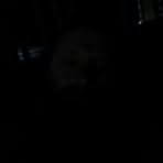 Duane Boatwright - Facebook