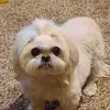 Duane Bodey - @duane.bodey - TikTok
