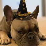Duane Booth - @duane_j_booth - Instagram