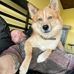 Duane Brewer - @_duane.brewer - Instagram