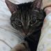 Duane Brewer - Facebook