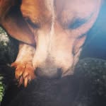 Duane Alan Buchanan - @duane_buchanan - Instagram