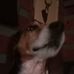 Duane Buchanan - Facebook