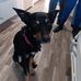 Duane Burton - Facebook