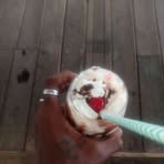 Dwayne Callender - Facebook