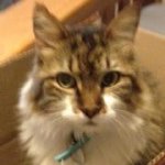 Duane Carlson - @dlc143 - Instagram