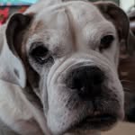 Duane Carlson - @duanec2 - Instagram