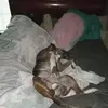 Carl Duane Cherry - @carl.duane.cherry - TikTok