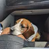 Duane Christopher Phillips - @duane.christopher - TikTok