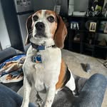 Duane Christopher phillips - @voteharriswalz202 - Instagram