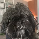Wyatt Wallace Duane Clausen - @wwdc1342 - Instagram