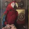 duanecrownover - @duanecrownover - TikTok
