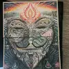 PSYTRANCETRIPS - @duanecurry7606 - TikTok