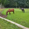 Duane Dean Weaver - @duane.dean.weaver - TikTok