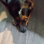 Duane Moore - @duane_deadman_moore - Instagram