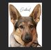 Duane Deboer - Facebook
