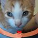 Diane Dorman - Facebook