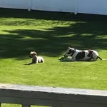 Duane Denton - @denton_duane - Instagram
