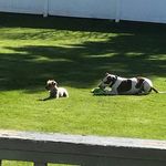 Duane Denton - @denton_duane - Instagram