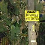 Duane Dotson - @ded66 - Instagram
