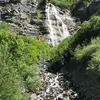 user033167 - @anthonyduanedowning - TikTok