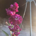 Duane Frey - @theluckyone2468 - Instagram