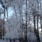 Duane Frey - @dnsfrey - Instagram