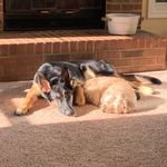@duane.funk.5 - Instagram