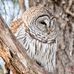 Duane Goldsmith Photography - Facebook