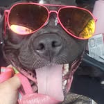 Dwayne Graves - @dwayne.graves.52 - Instagram