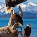 Duane Gross - Facebook