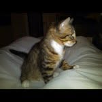 @duanehammer - Instagram