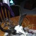 Duane Hare - Facebook