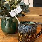 Dena Heitzman - Facebook