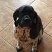 Duane Henning - Facebook