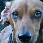 Duane Herman - @duaneherman - Instagram