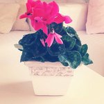 Duane Kliethermes - @duanekliethermes - Instagram