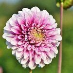 DuanеHestеr - @duanehester0b3bc - Instagram