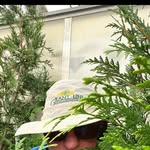Duane Holcomb - @duane.holcomb - Instagram