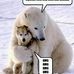 Duane Holcomb - Facebook