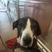 Duane Jones - Facebook