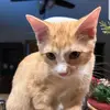 Joseph Duane - @joseph.duane5 - TikTok