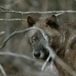Duane Larson - @larsonduane - Instagram