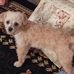 Duane Link - Facebook