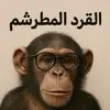 القرد المطرشم - @duanemason41 - TikTok