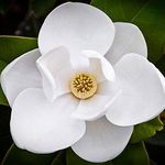 Duane McLeod - @magnoliawines - Instagram