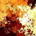 Duane Nash - Facebook