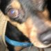 Duane Osborn - Facebook