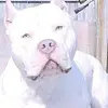 Duane parkin - @duane.parkin - TikTok
