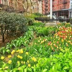 Friends Of Duane Park - @friendsofduanepark - Instagram
